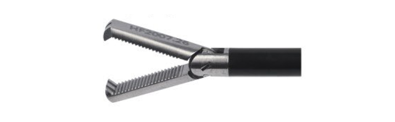 HF2007.26 Grasping,distal 2+3 claws with horizontal serration