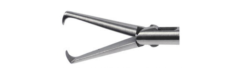 HF2007.32 Grasping,distal with single claw,toothless