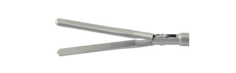 HF2004 Grasping,long nose,pyramidal-shaped teeth