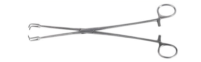 HF3034.1 Gynecological tissue forceps (dual jaw)