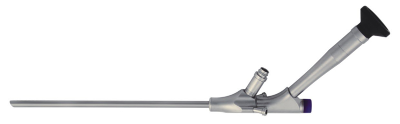 Transforaminal endoscope